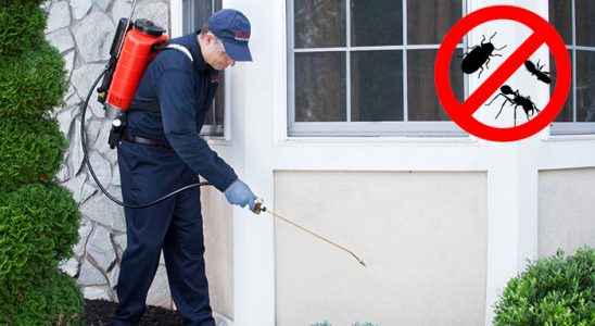 Yalvaç Kene İlaçlama böcek ilaçlama ve haşere kontrolü — ilaclama-tr.com